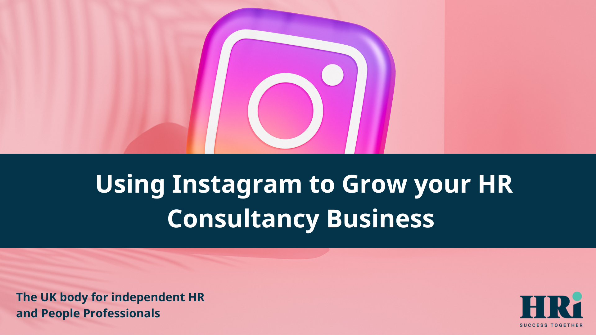 Using Instagram to Grow your HR Consultancy Business website banner